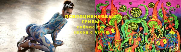 прущий лед Горняк