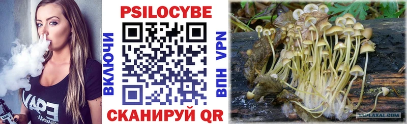 как найти закладки  Дмитров  Псилоцибиновые грибы MAGIC MUSHROOMS 